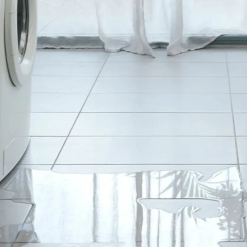 Appliance Leak Cleanup in Gardnerville, NV