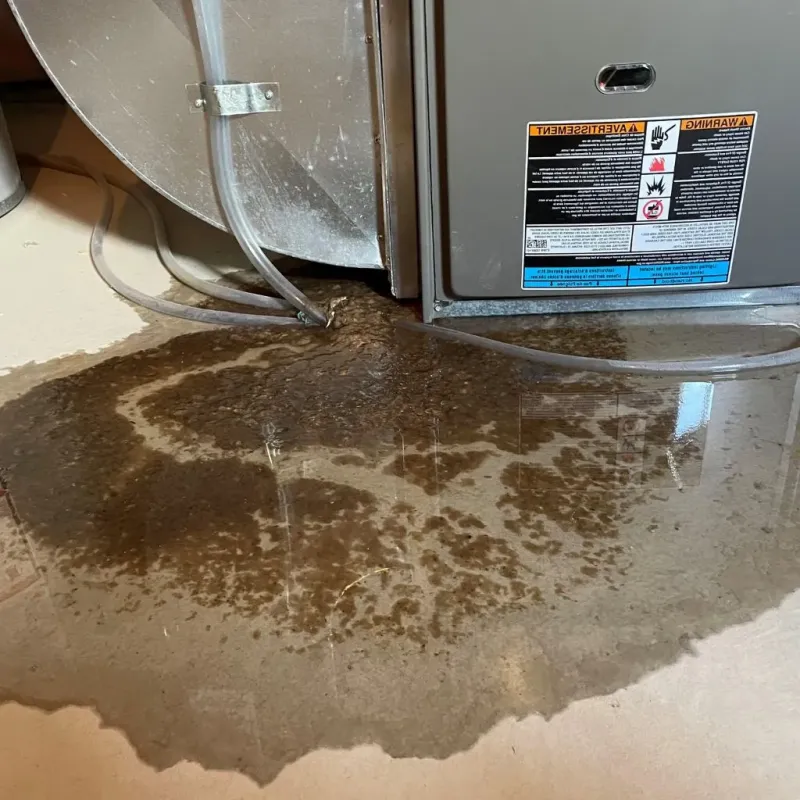 Pipe Burst and Leak Restoration in Gardnerville, NV